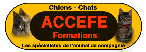 Logo site ACCEFE
