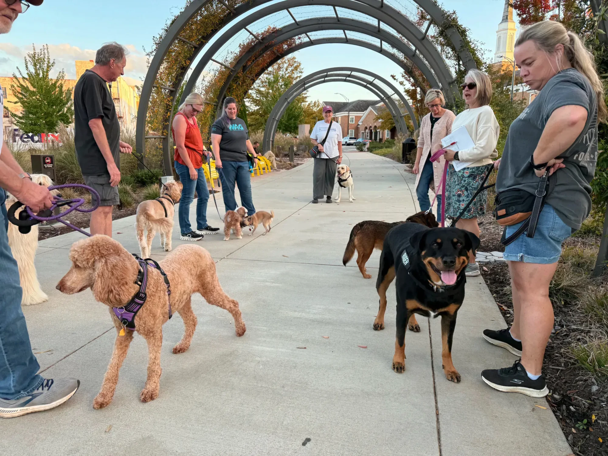 dog-training-2-scaled dog-training-2-scaled