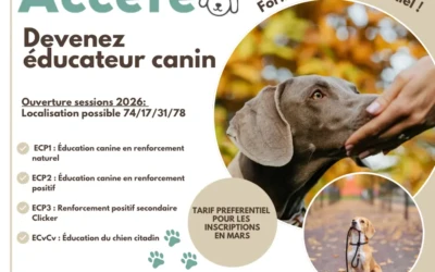 Formation éducateur canin professionnel – Thonon – La Rochelle