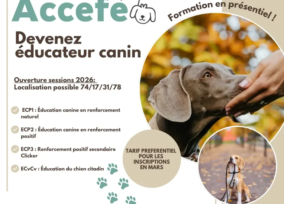 Formation éducateur canin professionnel – Thonon – La Rochelle