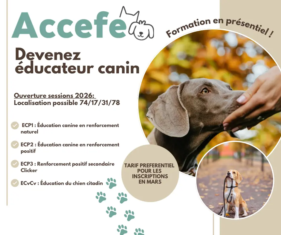 ECP_Facebook_2026_02b