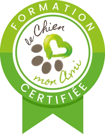 Cachet_certification_Formation