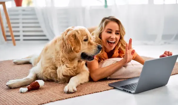 Cours_elearning_education_canine