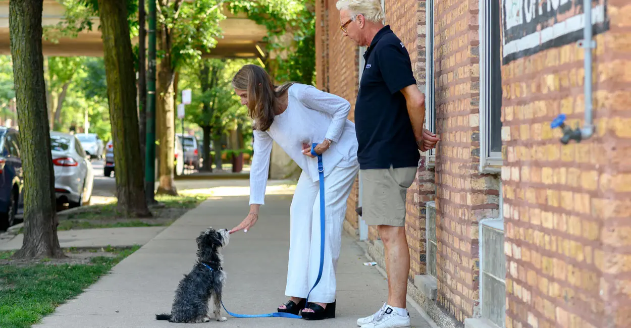 Education_canine_individuel