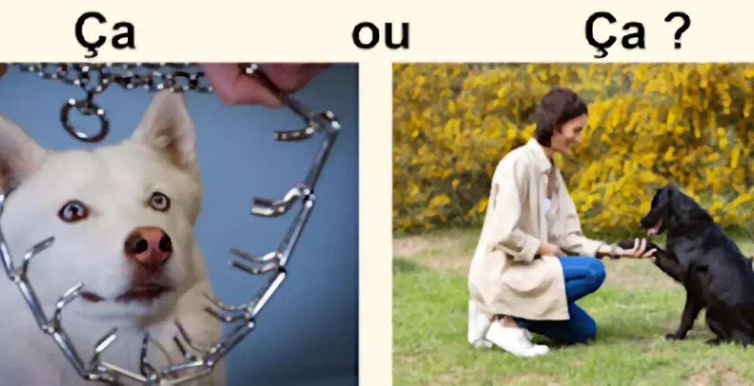 Les méthodes éducatives
