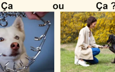 Les méthodes éducatives