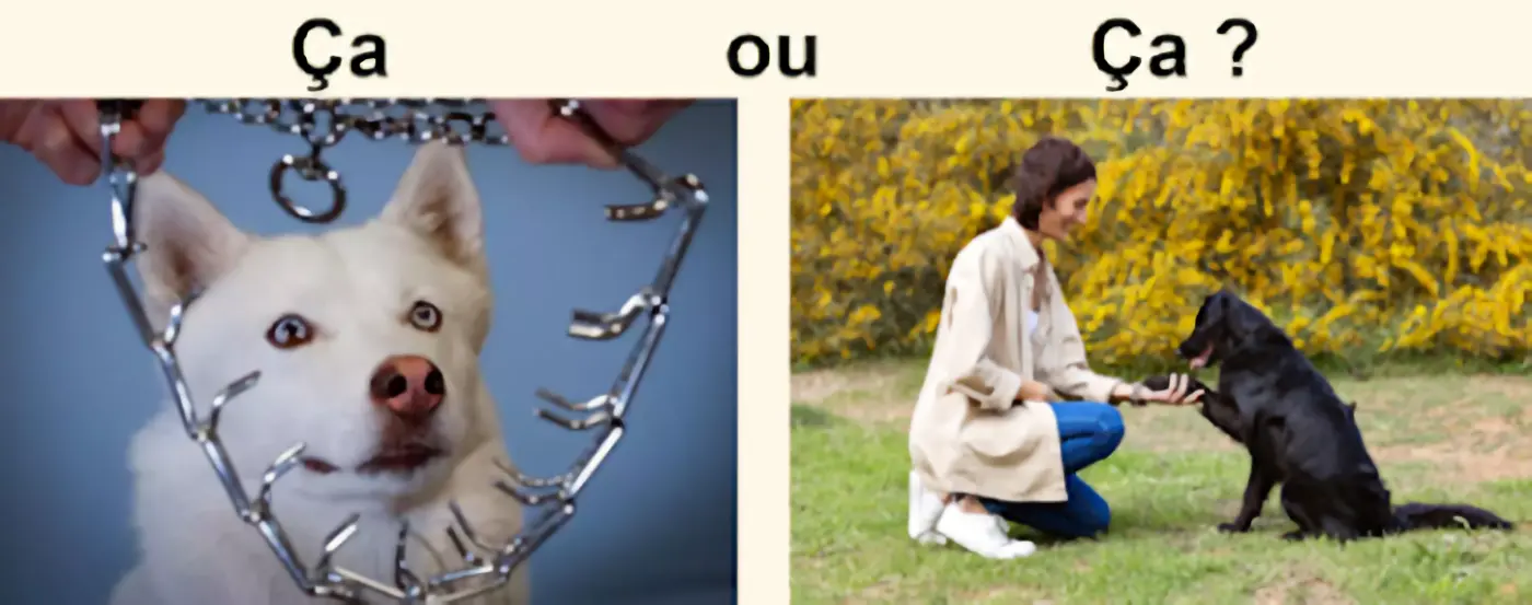Punition ou Renforcement